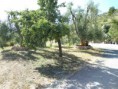 /album/foto-dei-nostri-appartamentini/dsc01227-jpg/