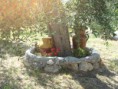 /album/foto-dei-nostri-appartamentini/dsc01228-jpg/